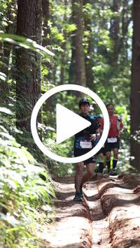 BIB:  <button type="button" onclick="openModal(26569373)" class="btn btn-primary btn-sm float-right" data-toggle="modal" data-target=".modal-high-quality">
                <i class="fa fa-download"></i> Download
                </button>